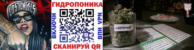 Бошки Шишки тримм  kraken как войти  Татарск 